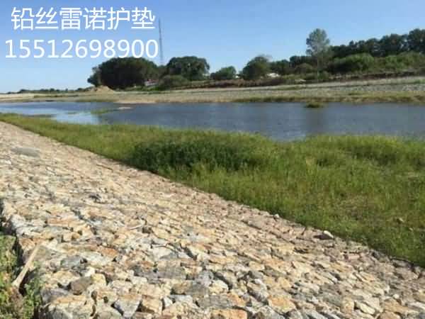 timg789_副本.jpg timg789_副本.jpg